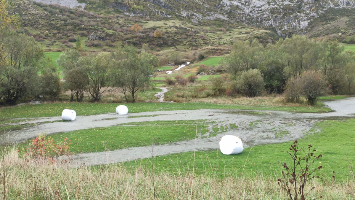 Bolas de plastico alpacas marau00f1a (2)