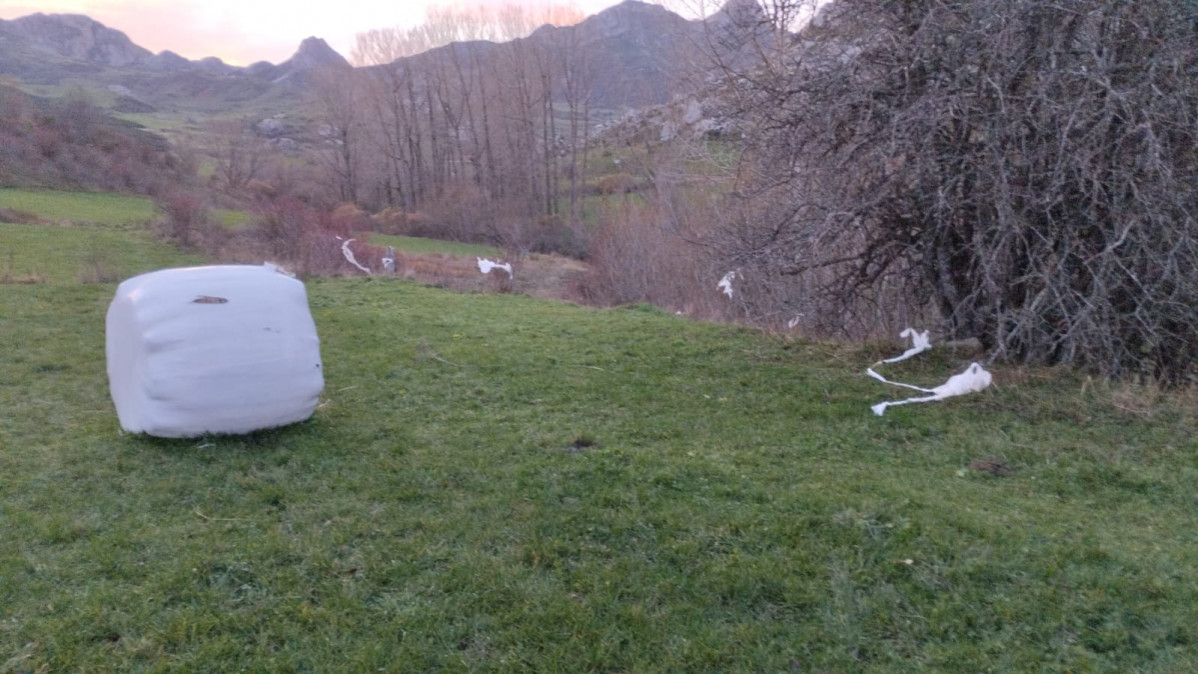 Bolas de plastico alpacas marau00f1a (5)