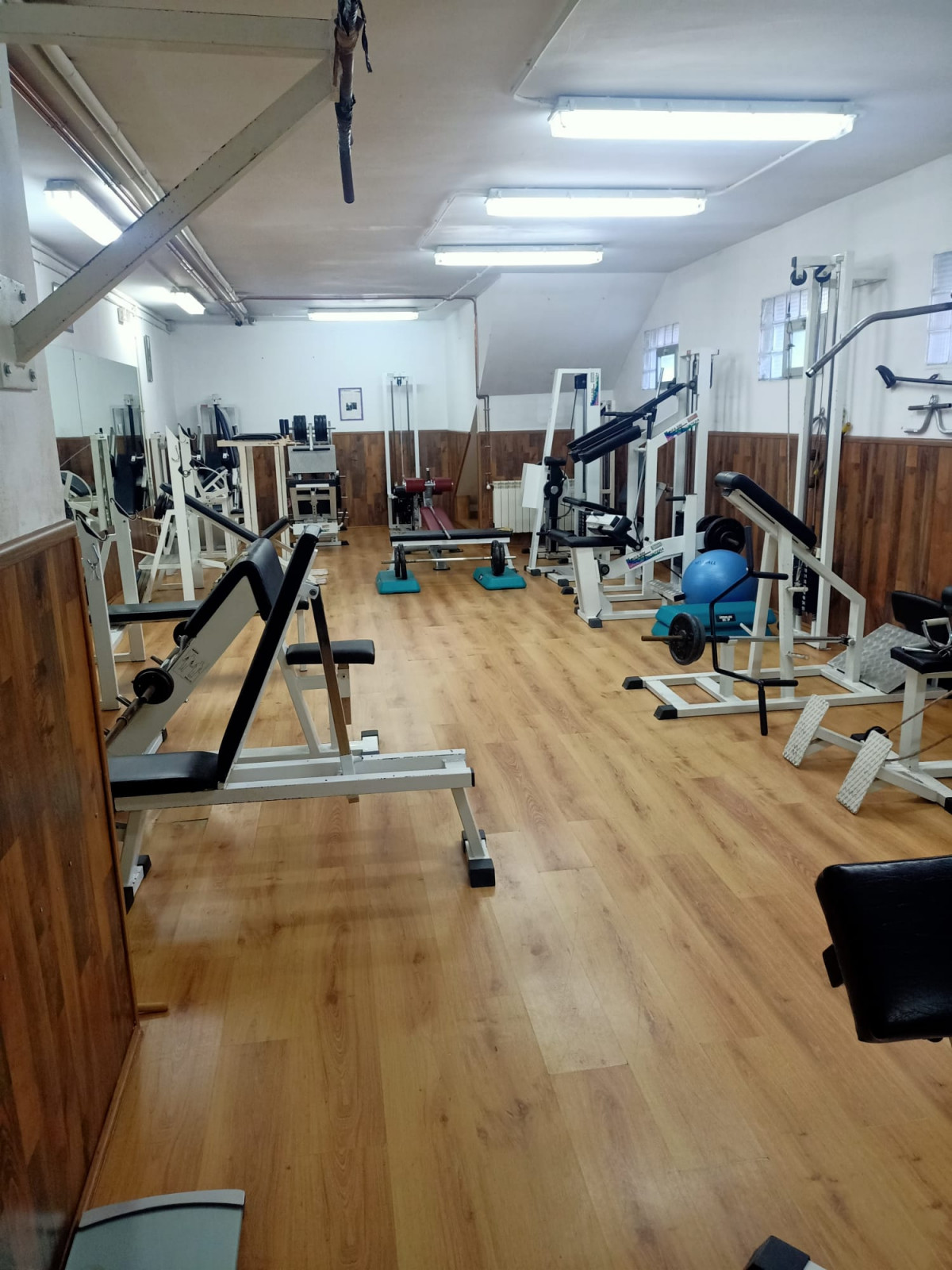 Gimnasio velilla 1