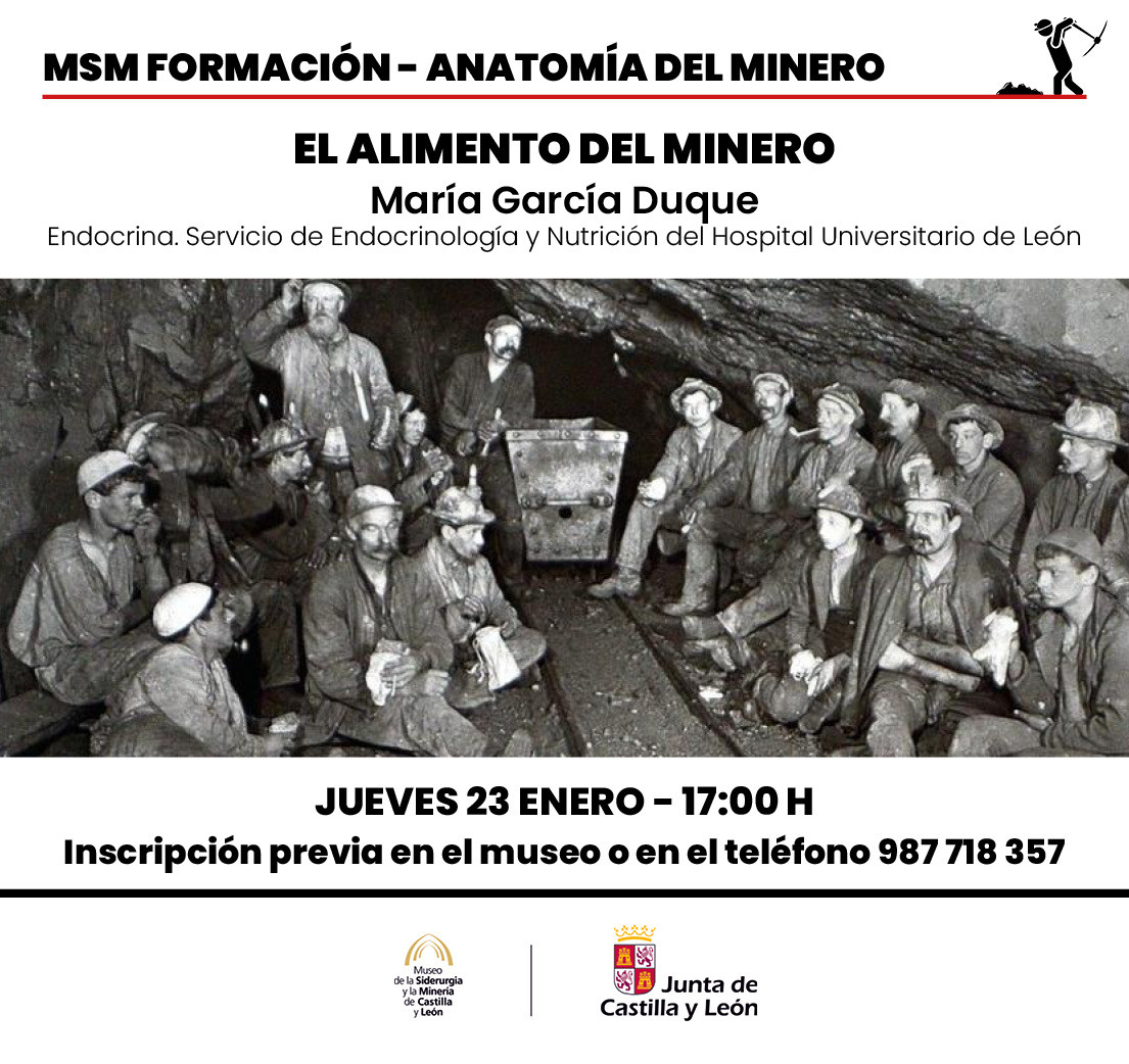 Anatomia del minero. El alimento del minero web
