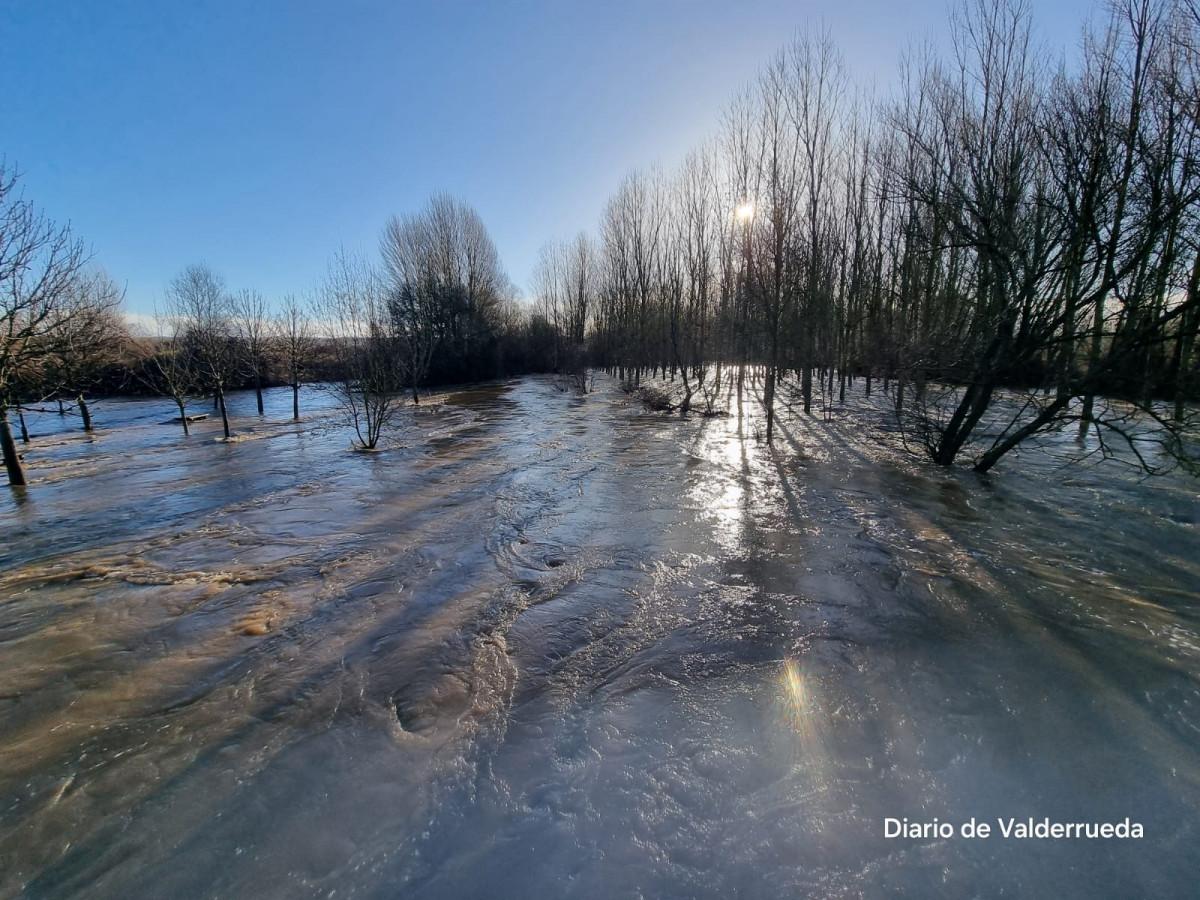 Rio cea desbordado almanza enero 25 (7)