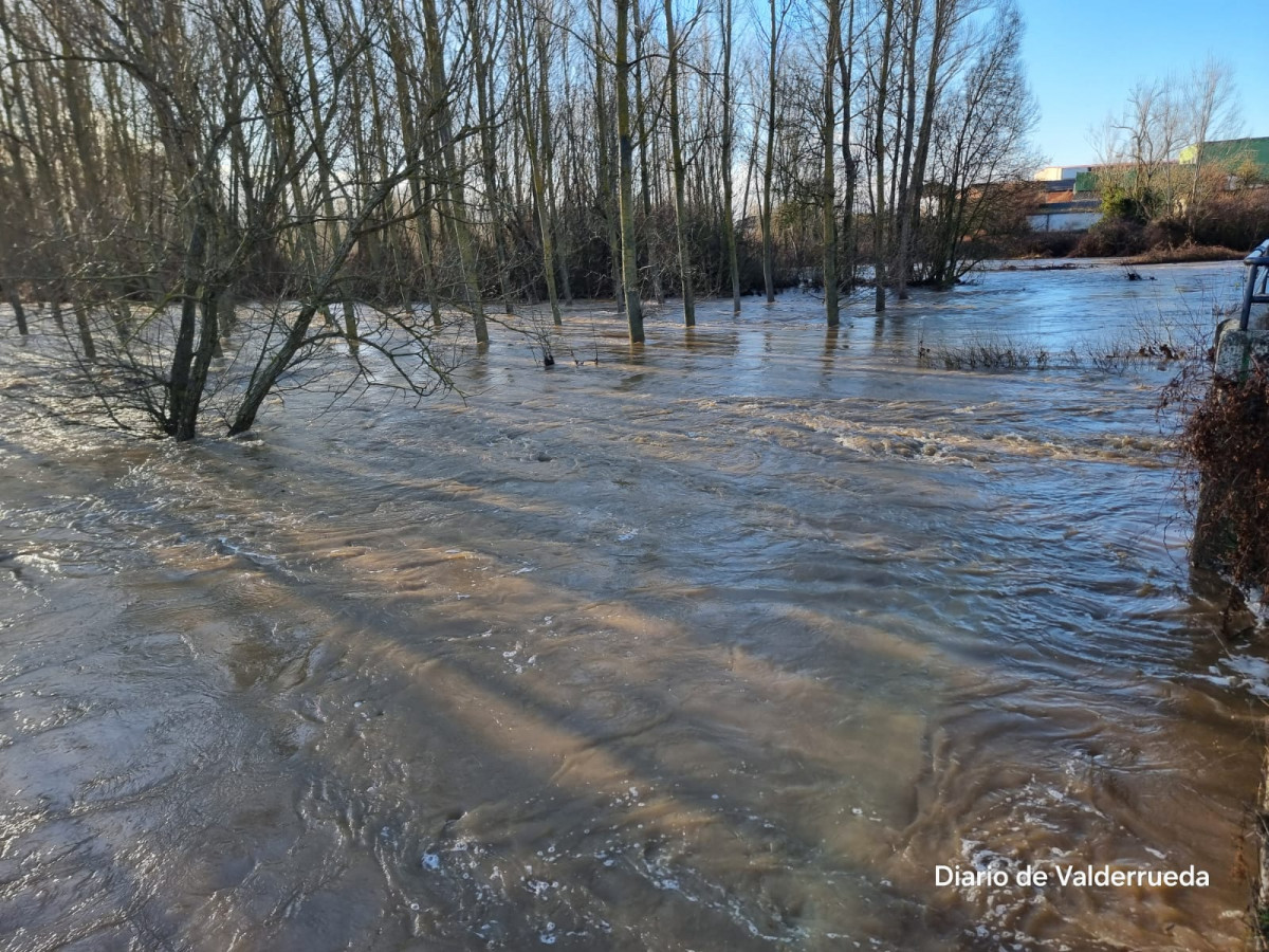 Rio cea desbordado almanza enero 25 (8)