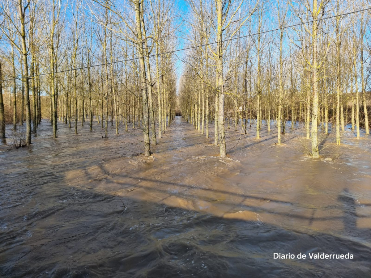 Rio cea desbordado almanza enero 25 (9)