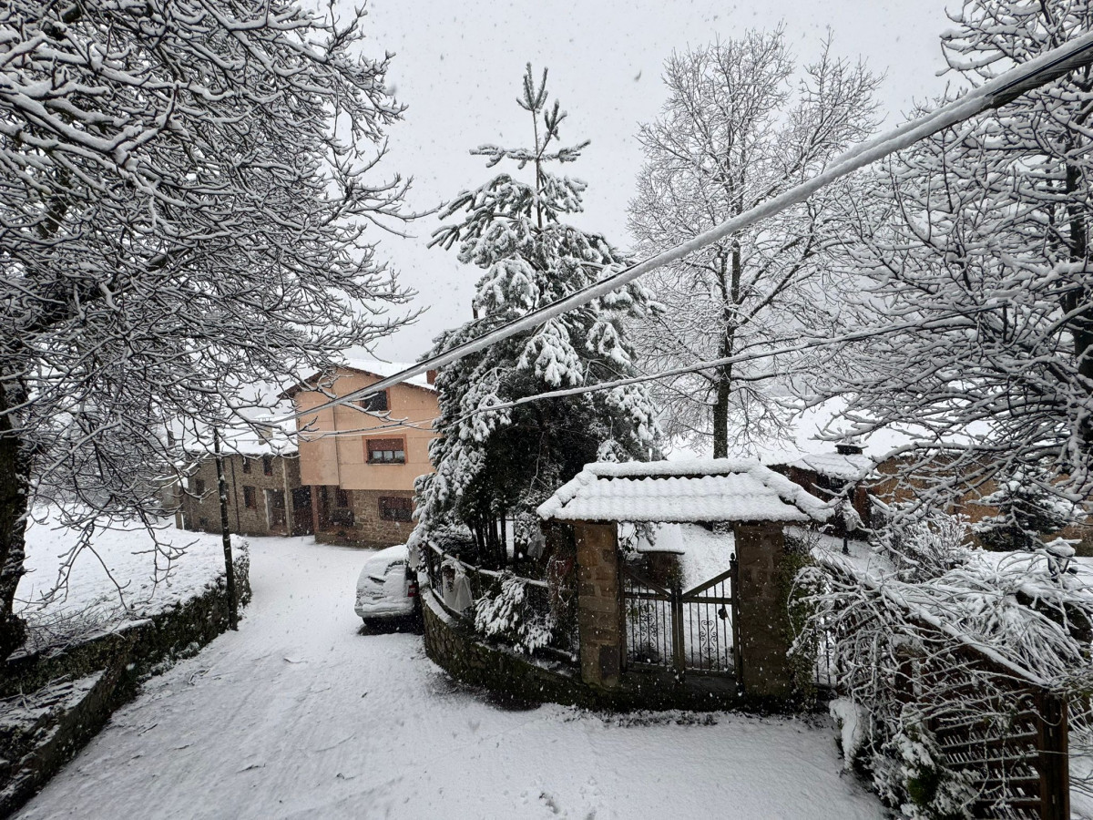 Nieve 2025 morgovejo (2)