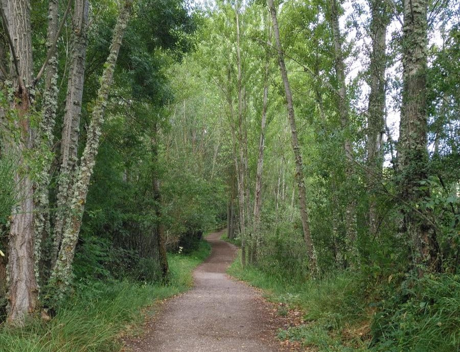 Paseo del loco turismo aguilar