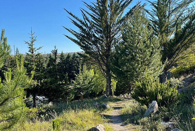 Jardin botanico turismo aguilar