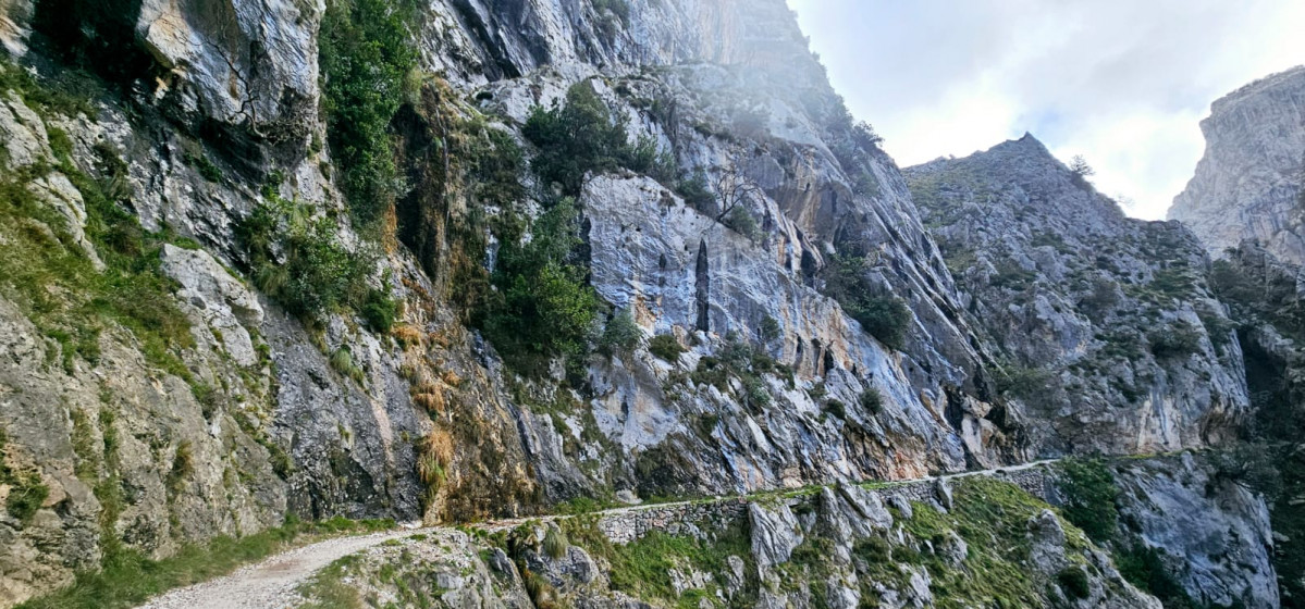 Ruta del cares invierno 2025 (72)