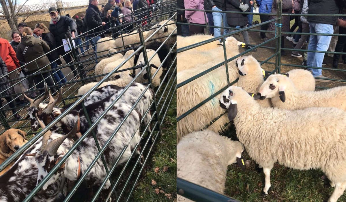 Feria de san blas gradefes 2025