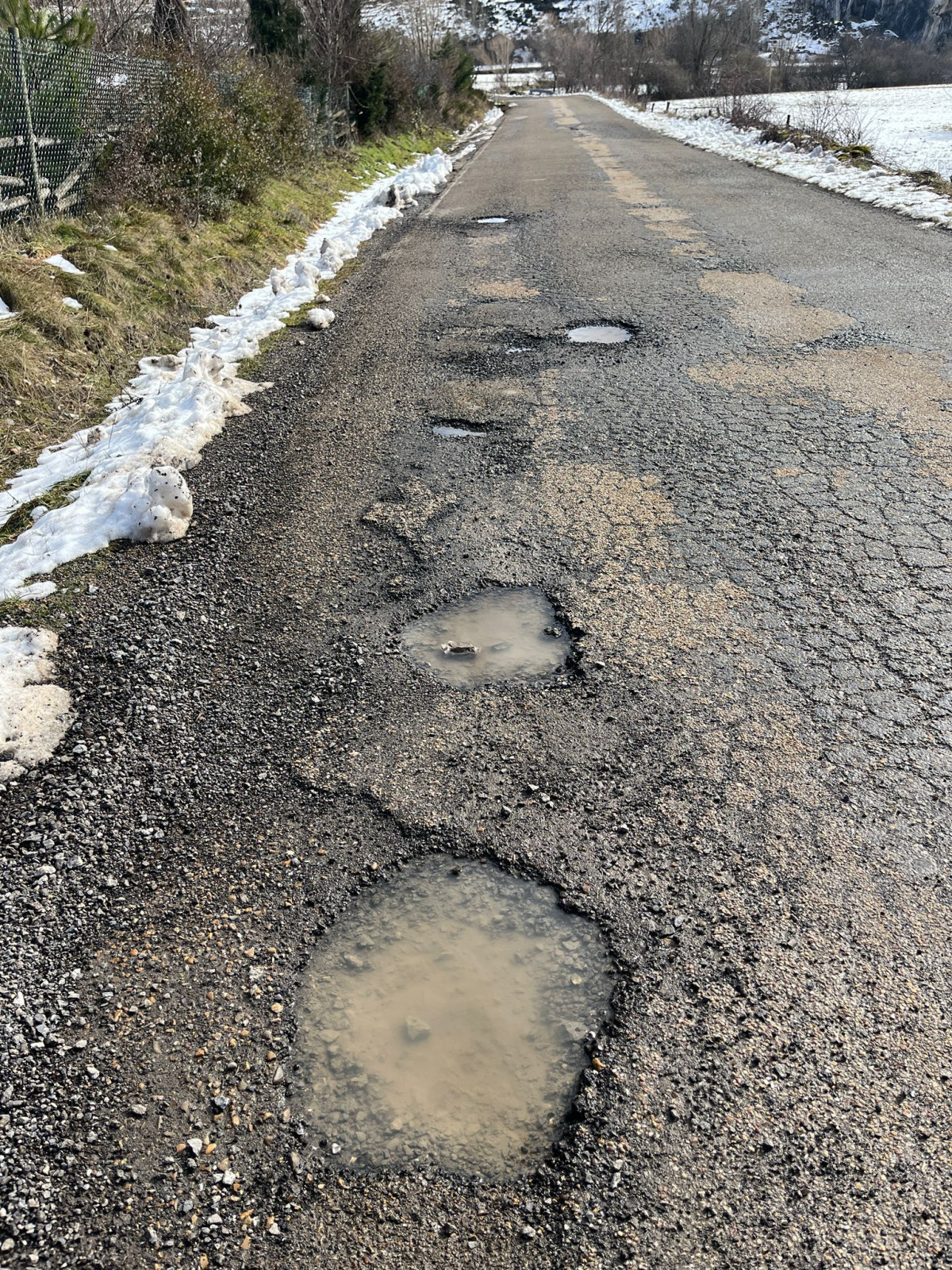 Carretera de redipollos