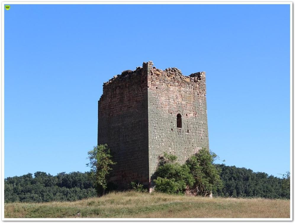 Villanueva de la torre 12 (Torre)