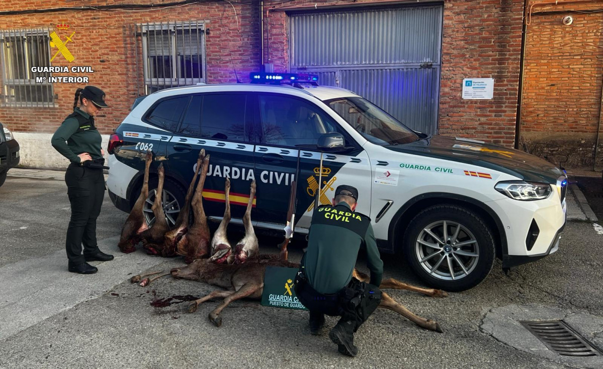 Caza furtiva montau00f1a palentina guardia civil