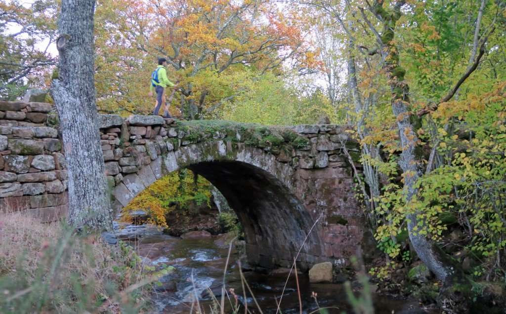 Puente rojadillo FDEMESCYL