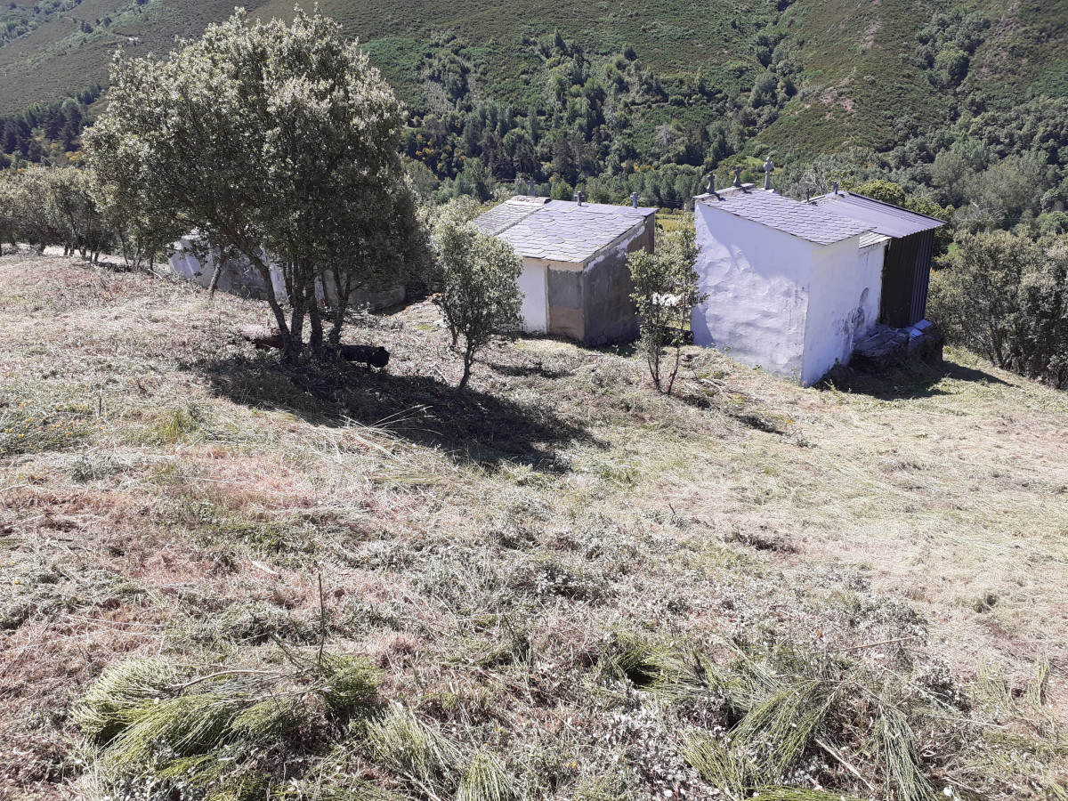 Fabero paramo del sil  tajo 16 despues