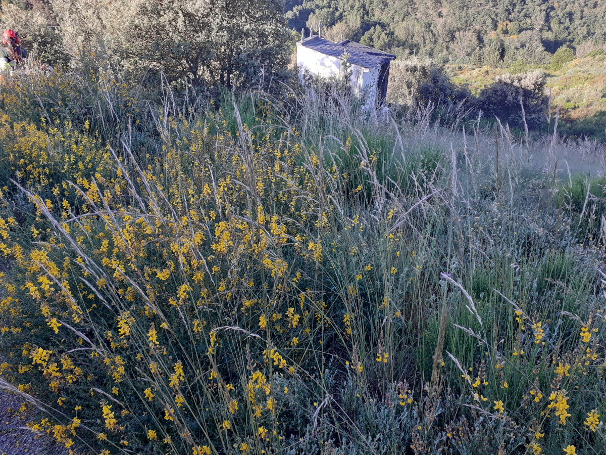 Fabero  Paramo del sil  tajo 16 antes