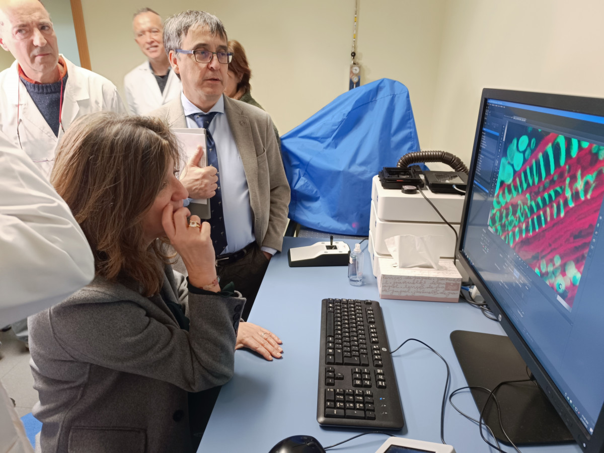 Laboratorio LTI
