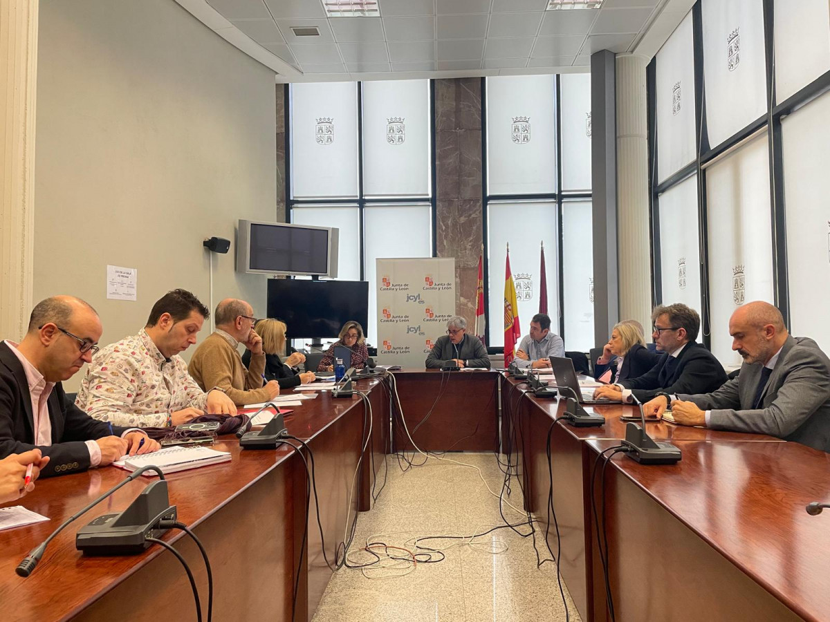 Consejo Salud Leu00f3n (febrero 2025) IV