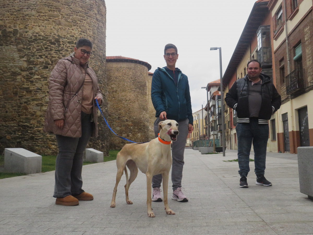 Terapia con animales hospital san juan de dios