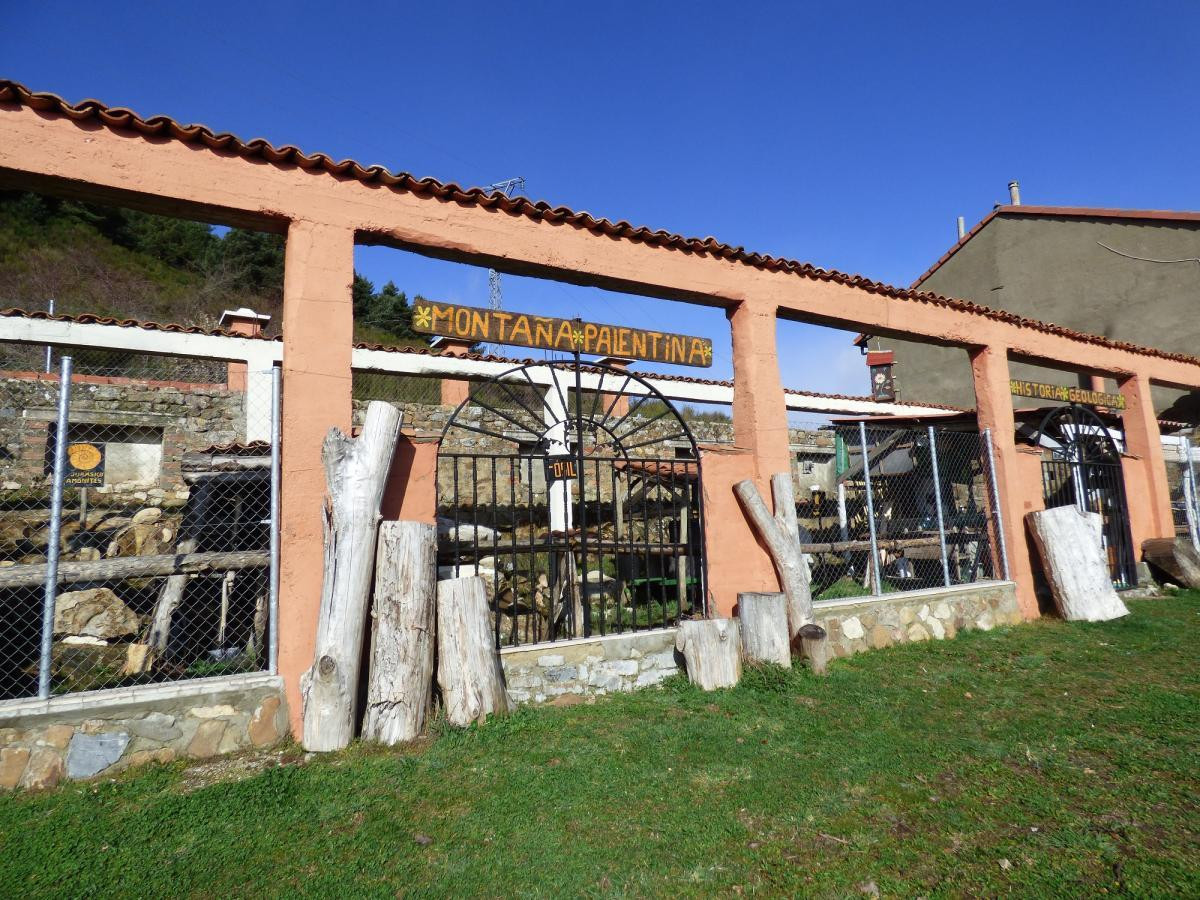 Museo de historia natural y geologica ayto cervera