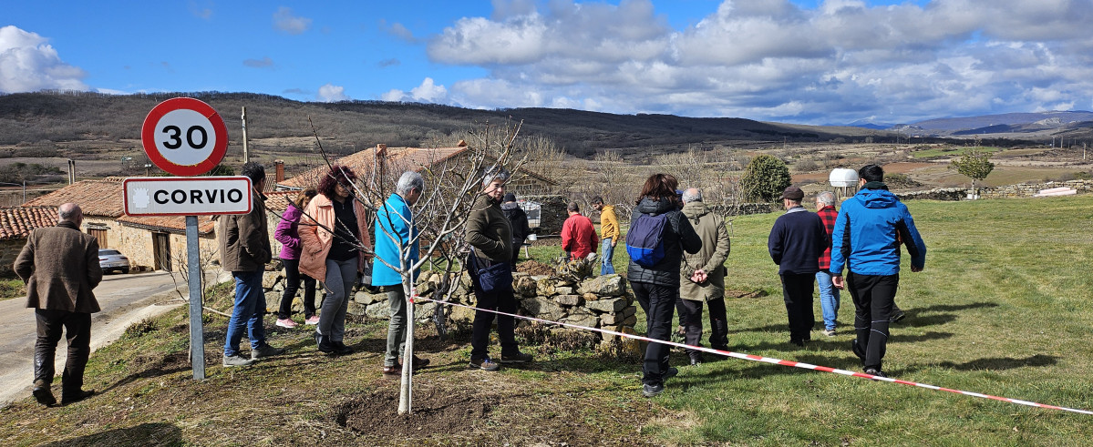 Taller de poda e injerto de arboles aguilar (2)