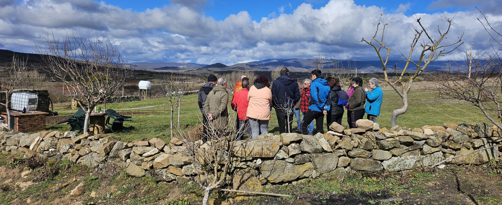 Taller de poda e injerto de arboles aguilar (3)