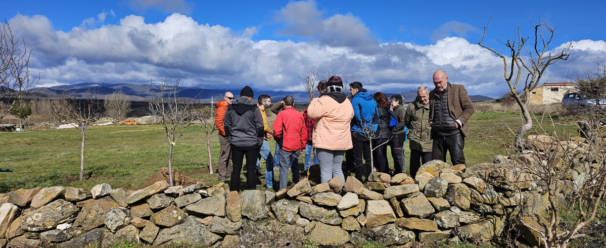 Taller de poda e injerto de arboles aguilar (4)