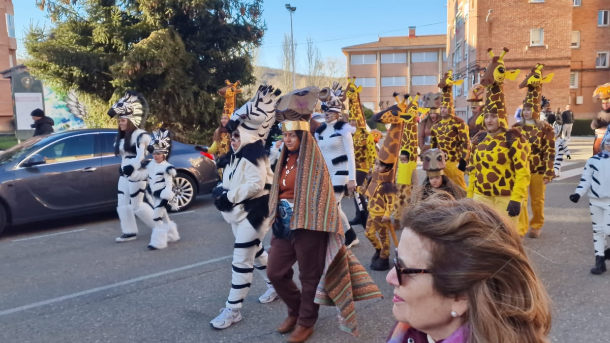 Carnaval 2025 guardo (34)