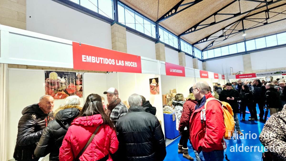 Feria de la vecilla 2025 DDV 19