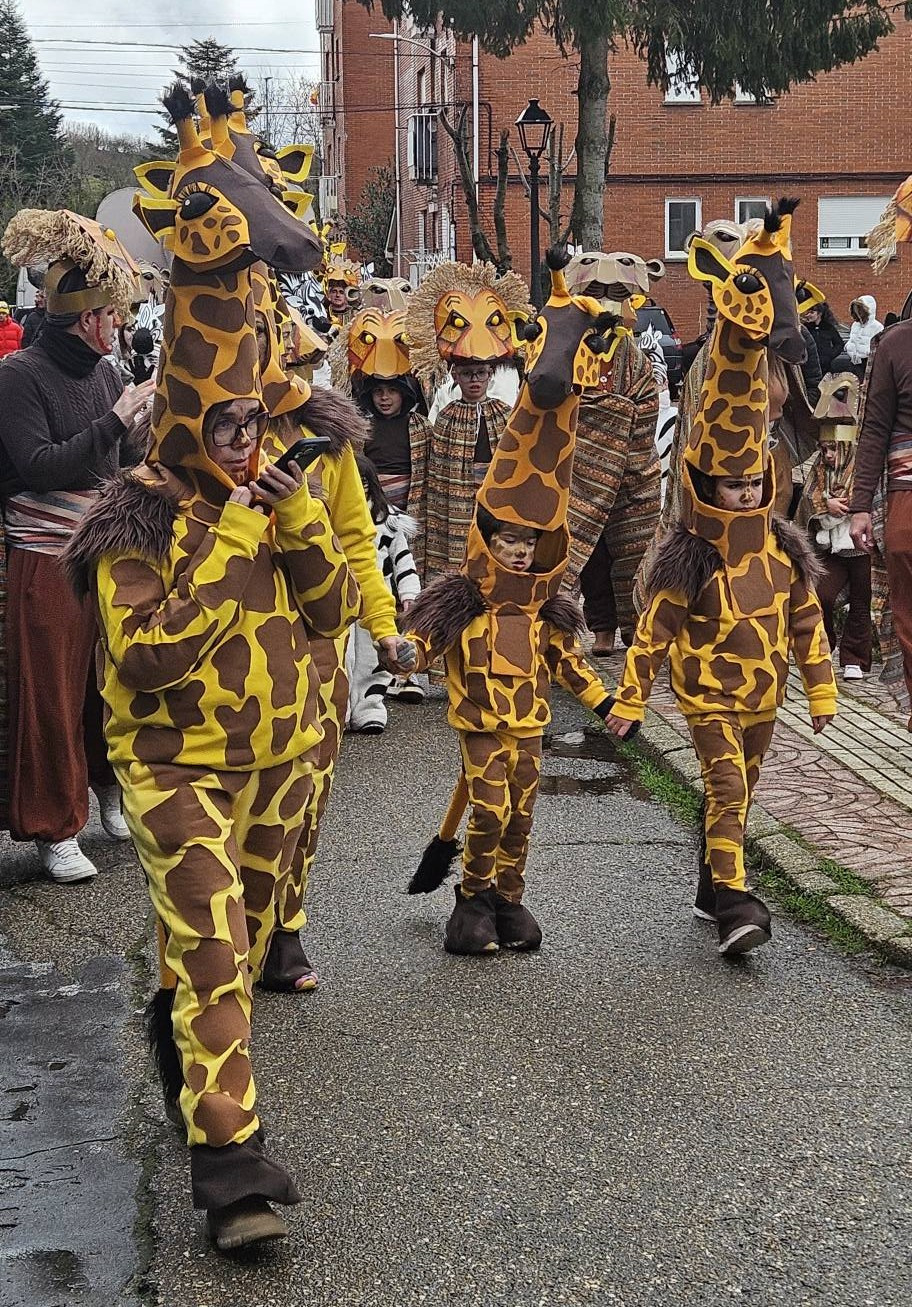 Carnaval Velilla 2025 10