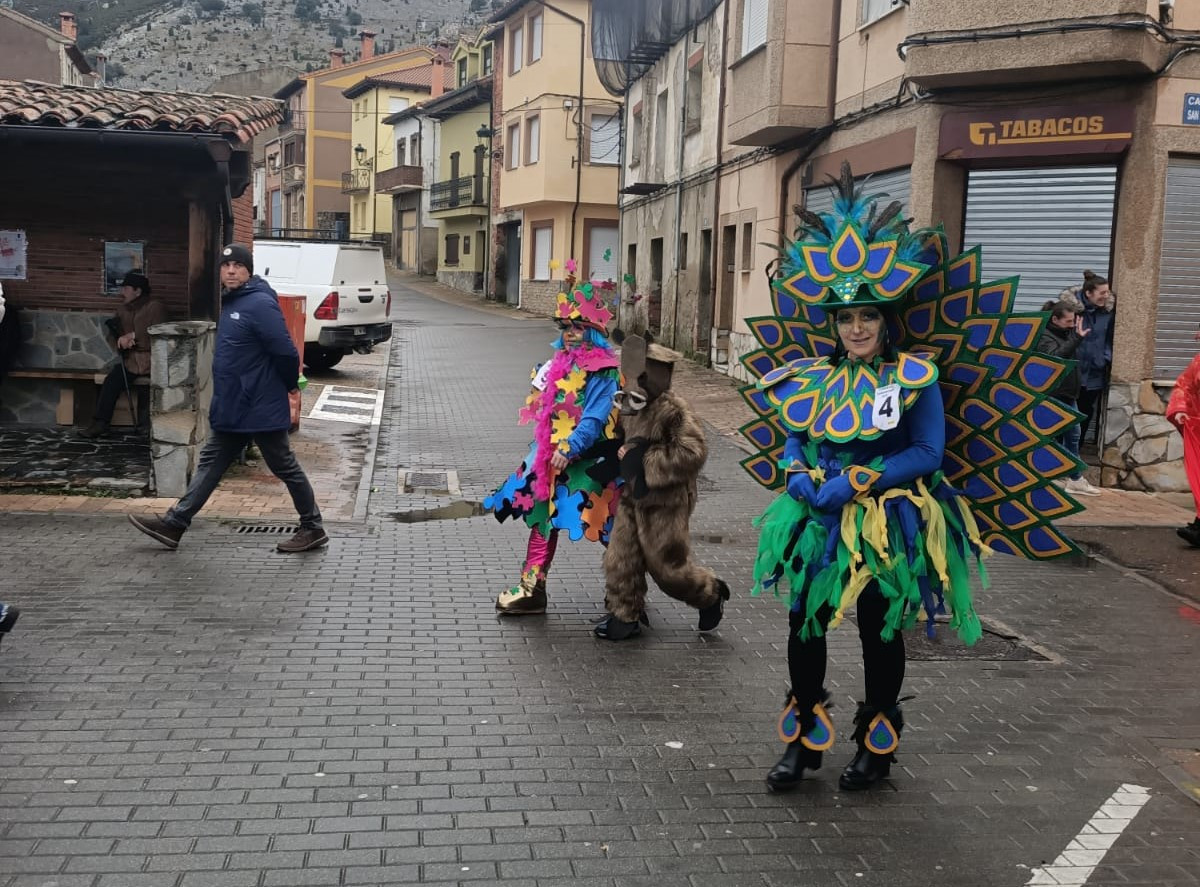 Carnaval Velilla 2025 30
