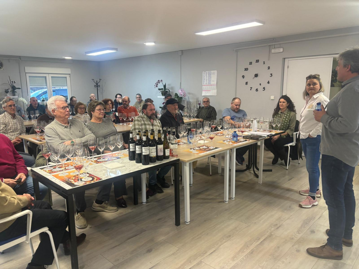 Cata de vinos velilla (3)