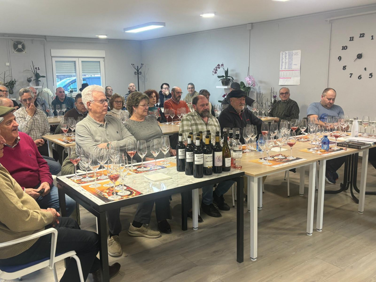 Cata de vinos velilla (1)