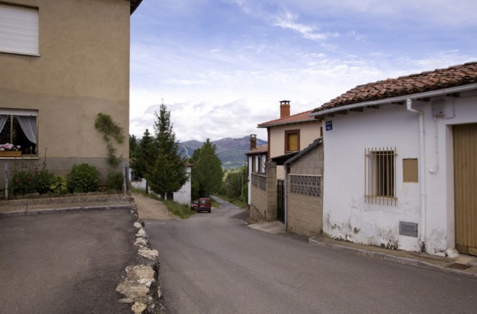 La devesa de boñar 2