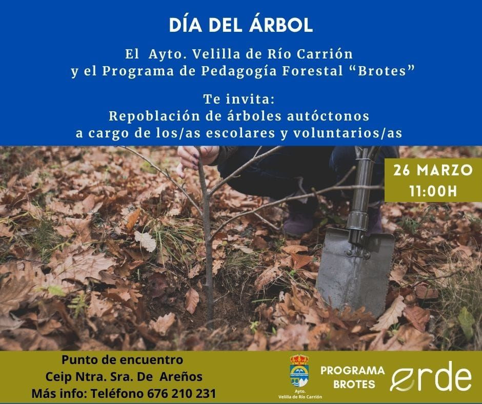 Cartel dia del arbol