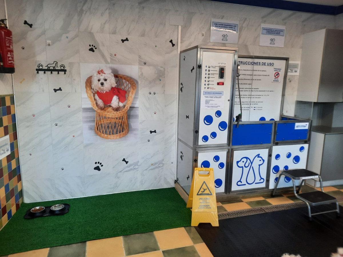 Autolavado perros guardo 8