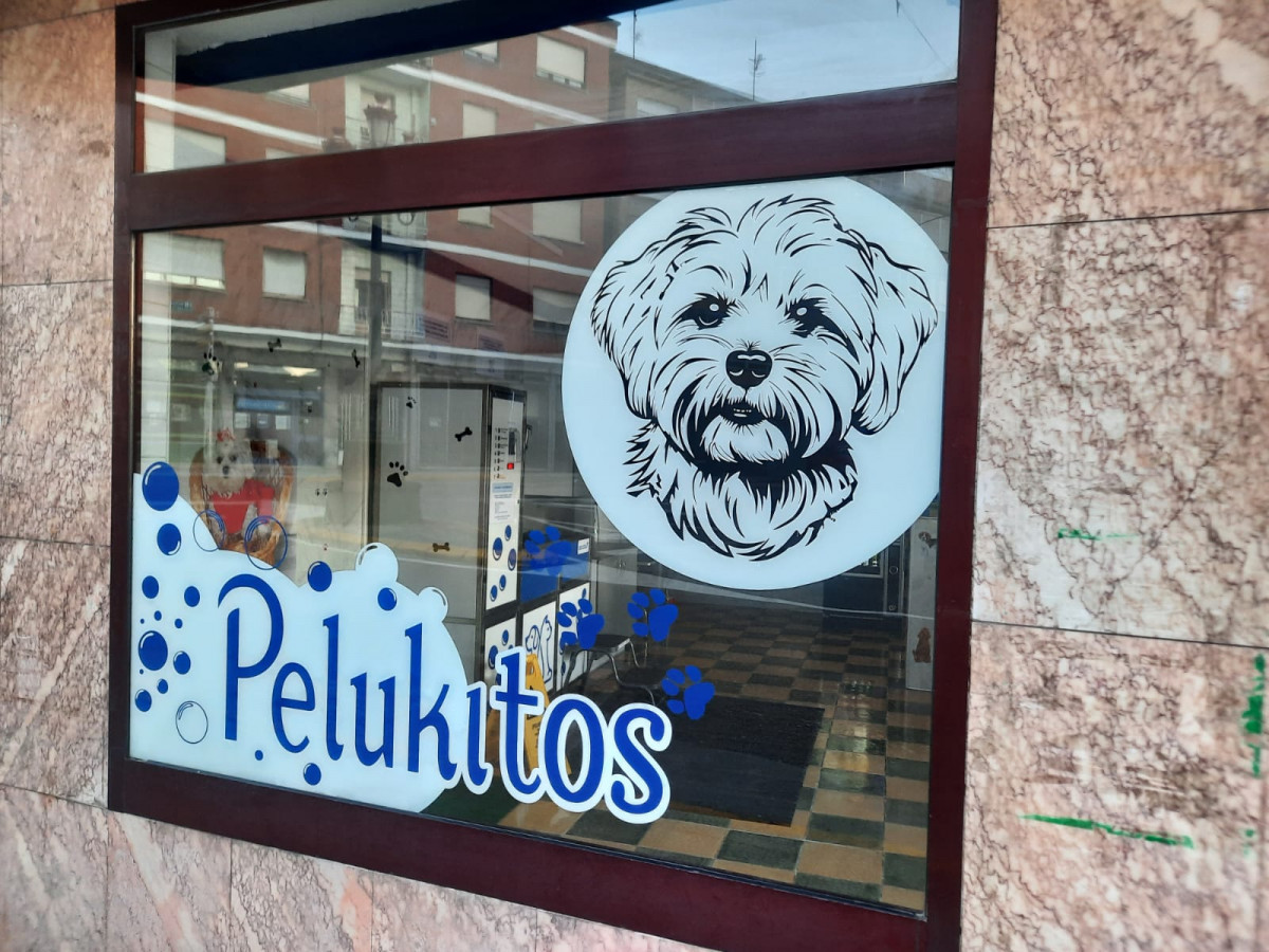 Autolavado perros guardo 5