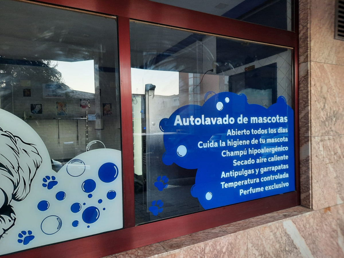 Autolavado perros guardo 1