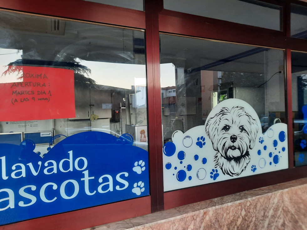 Autolavado perros guardo 2