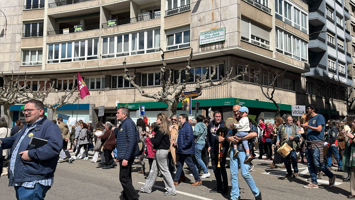 Manifestacion feve leon 2025 18