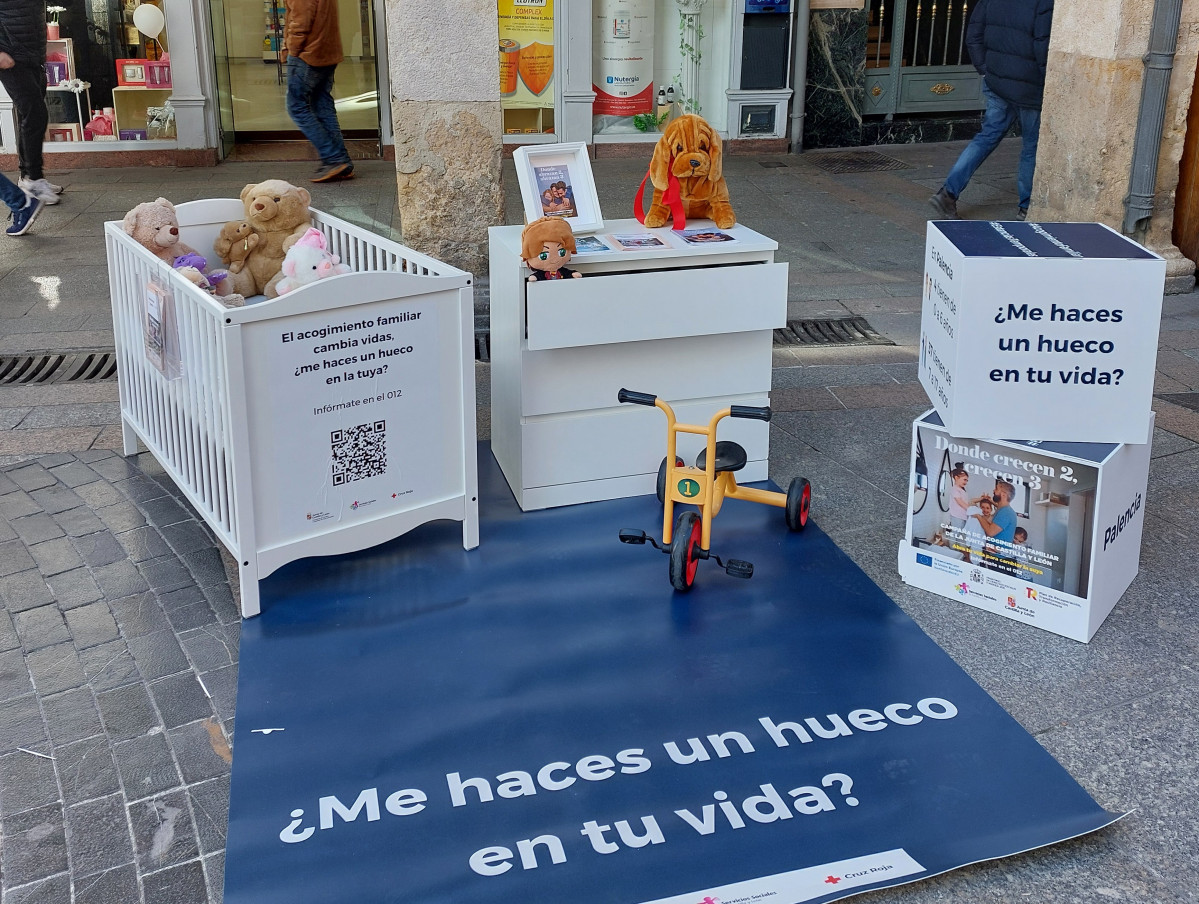 Campau00f1a acogida familiar
