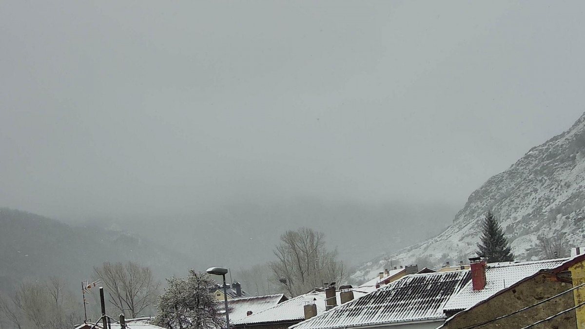 Nieve 2025 cofiu00f1al