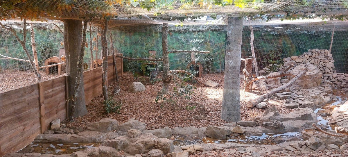 Voladero centro del urogallo caboalles de arriba (1)