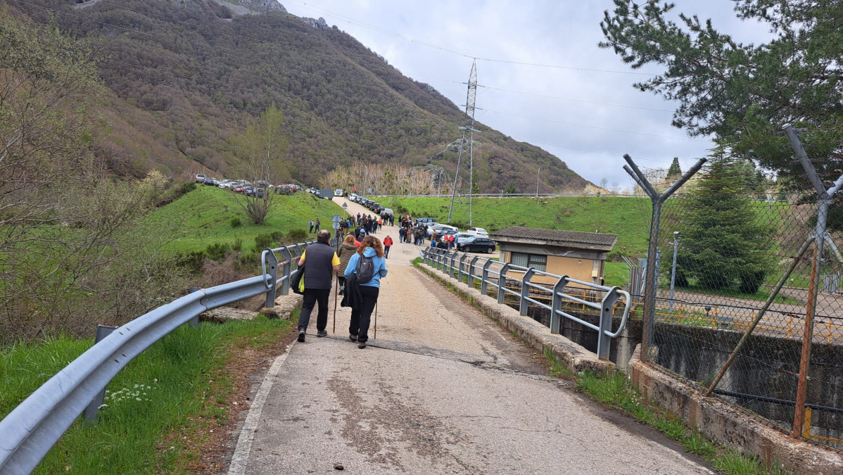 Concentracion puente de remolina