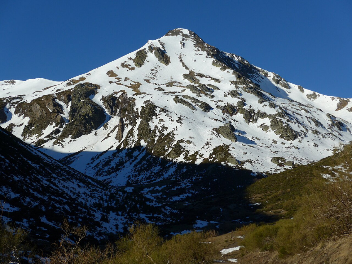 Pico MURCIA wikipedia