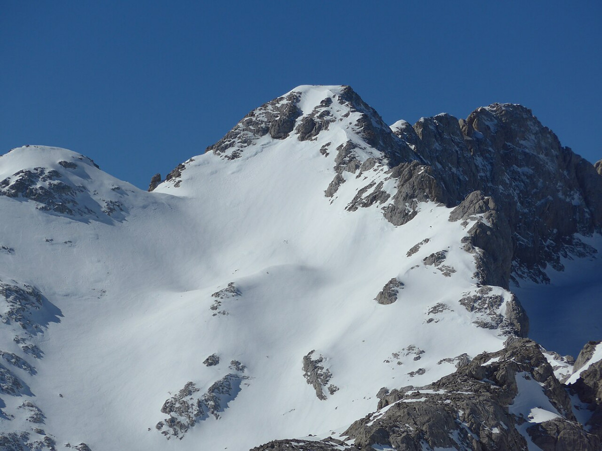 Torre blanca wikipedia
