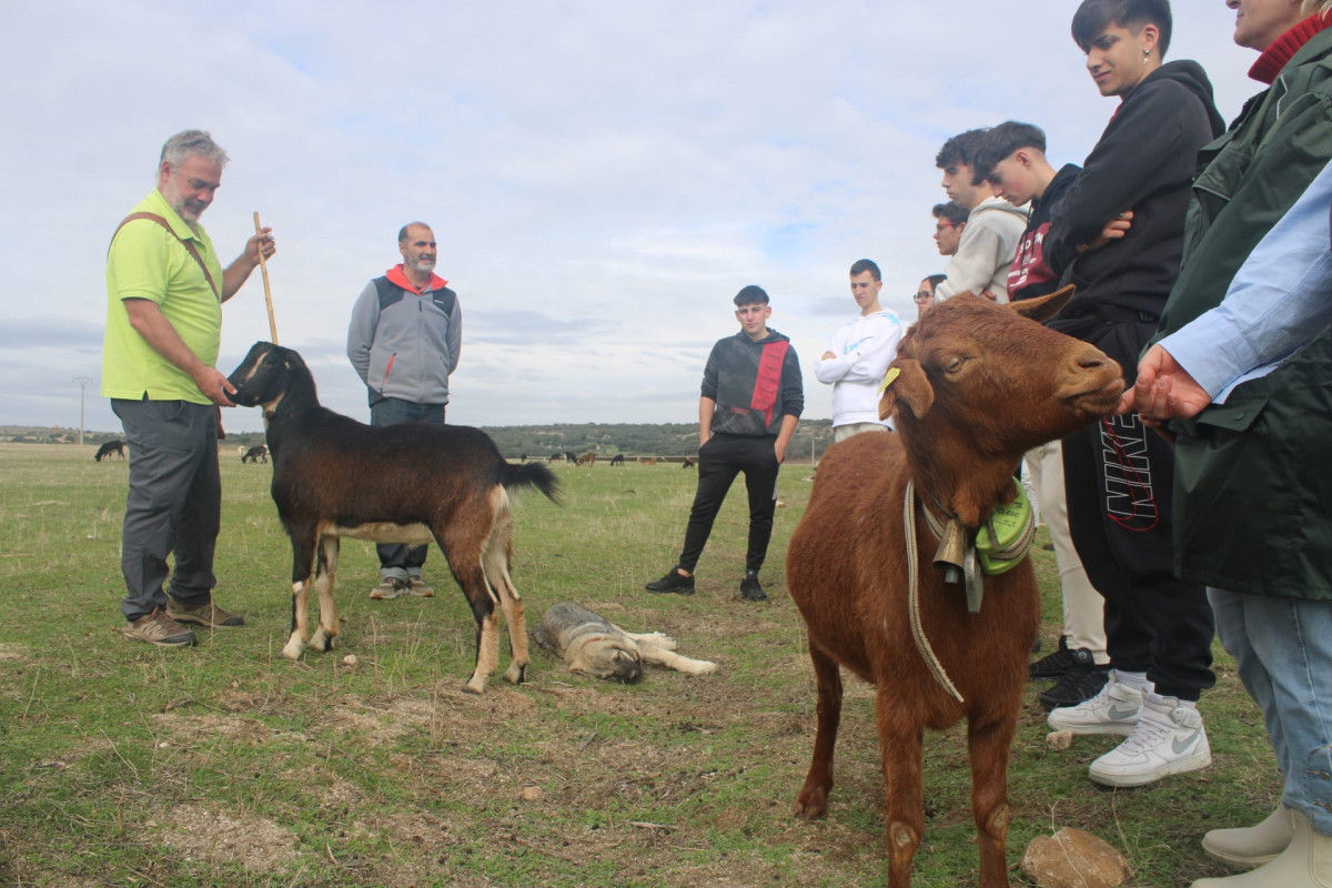 Escuela de Pastores   Reactiva Brañosera (3)