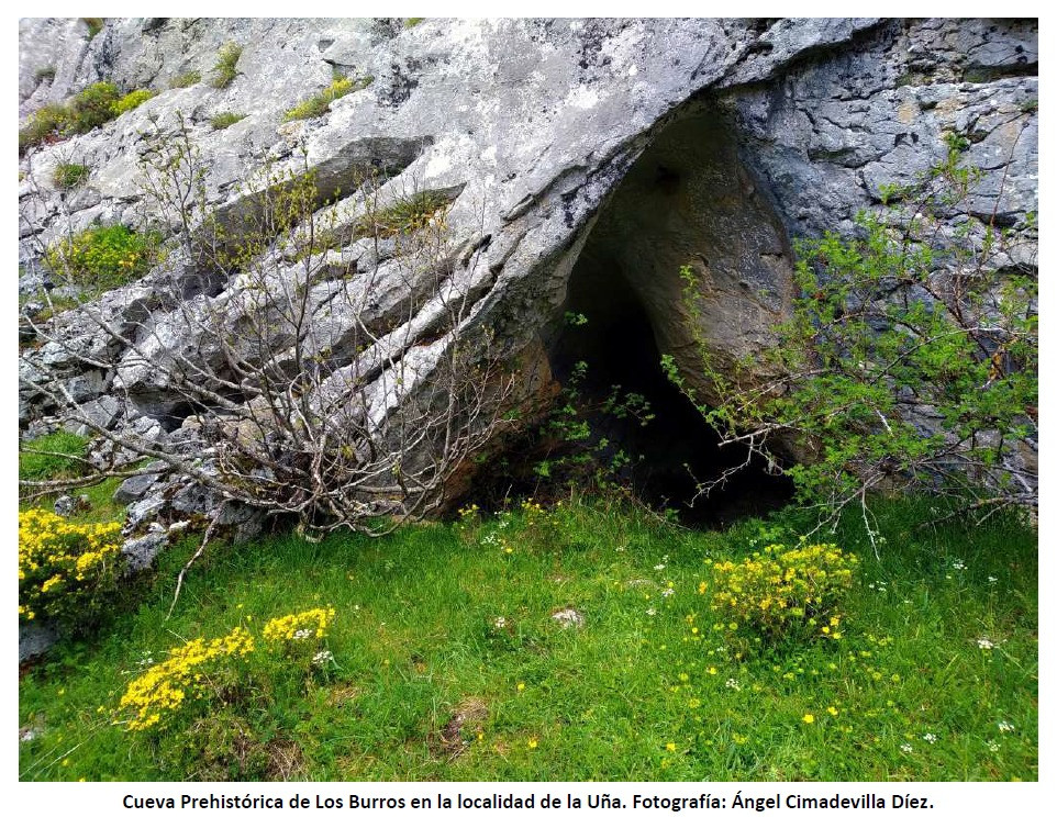 Cueva de los burros la uña