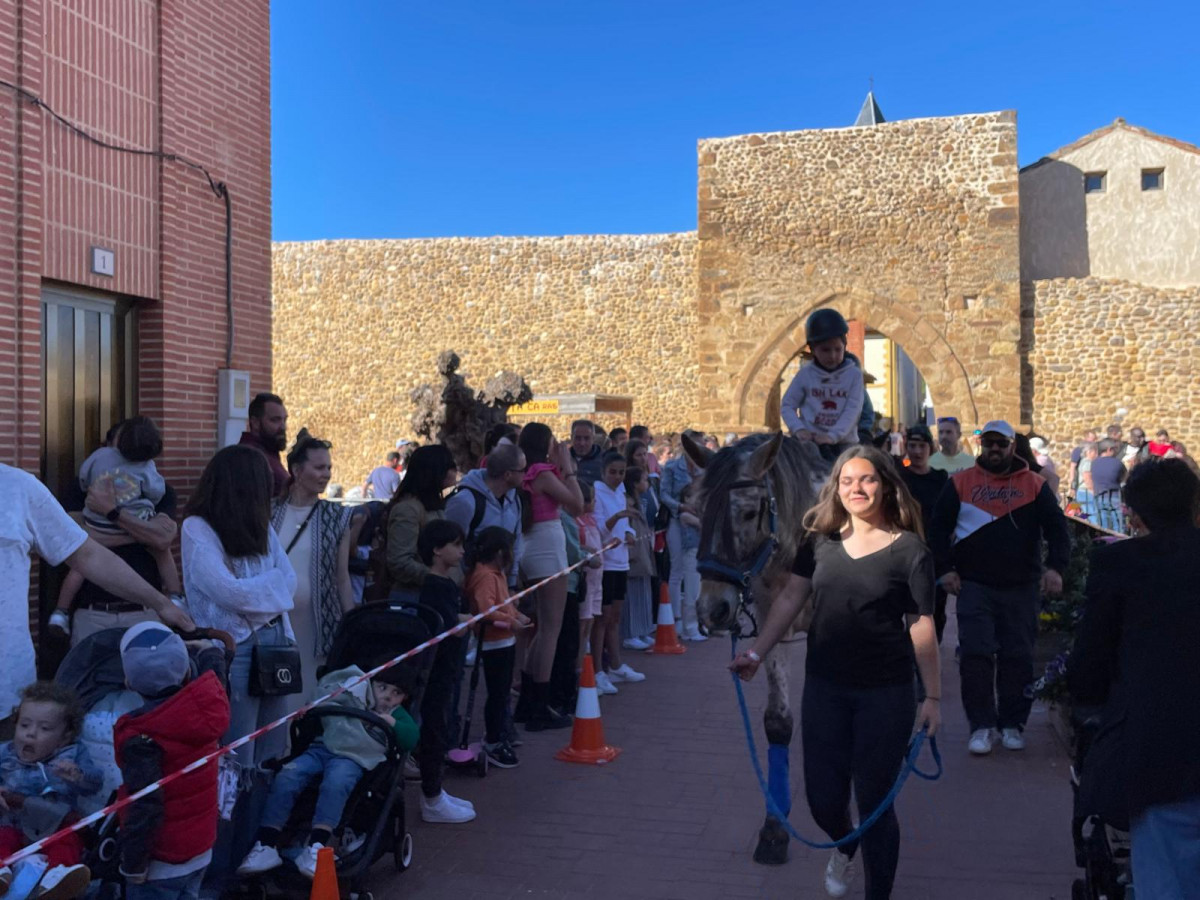 Feria de los cuentos almanza (2)