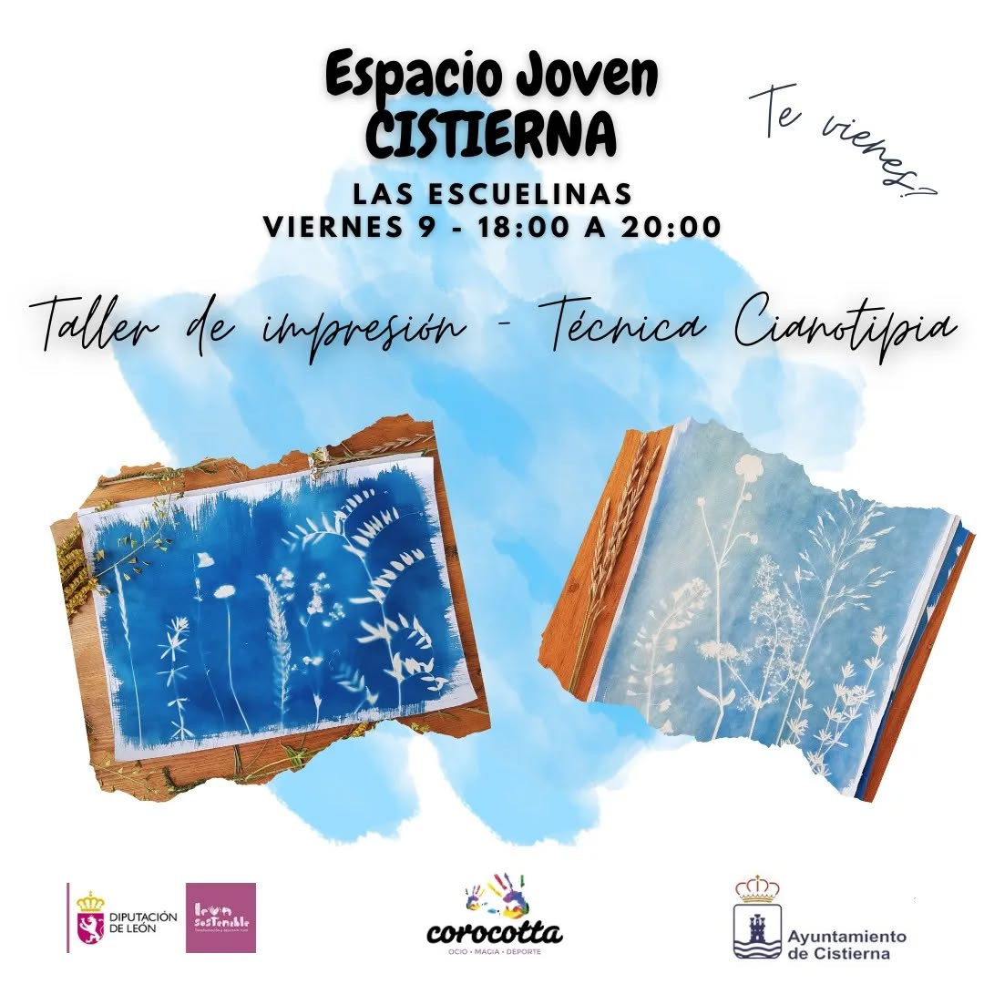 Taller cianotipia
