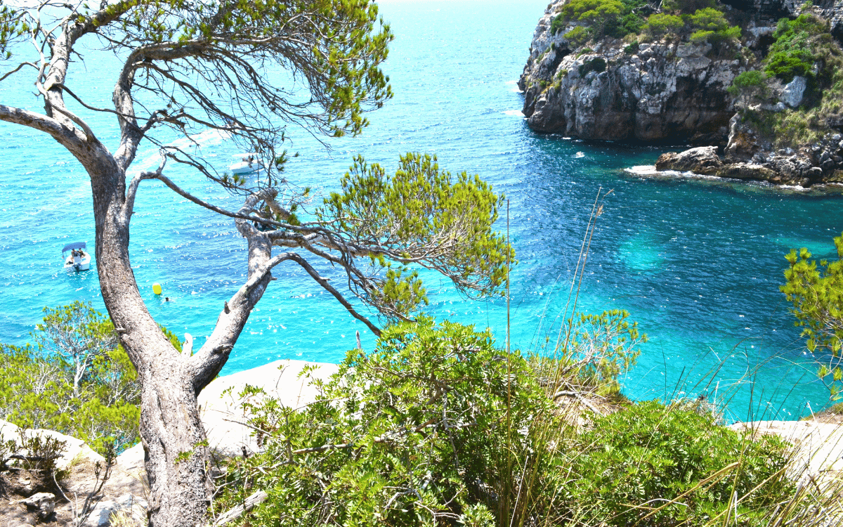 Agua de menorca