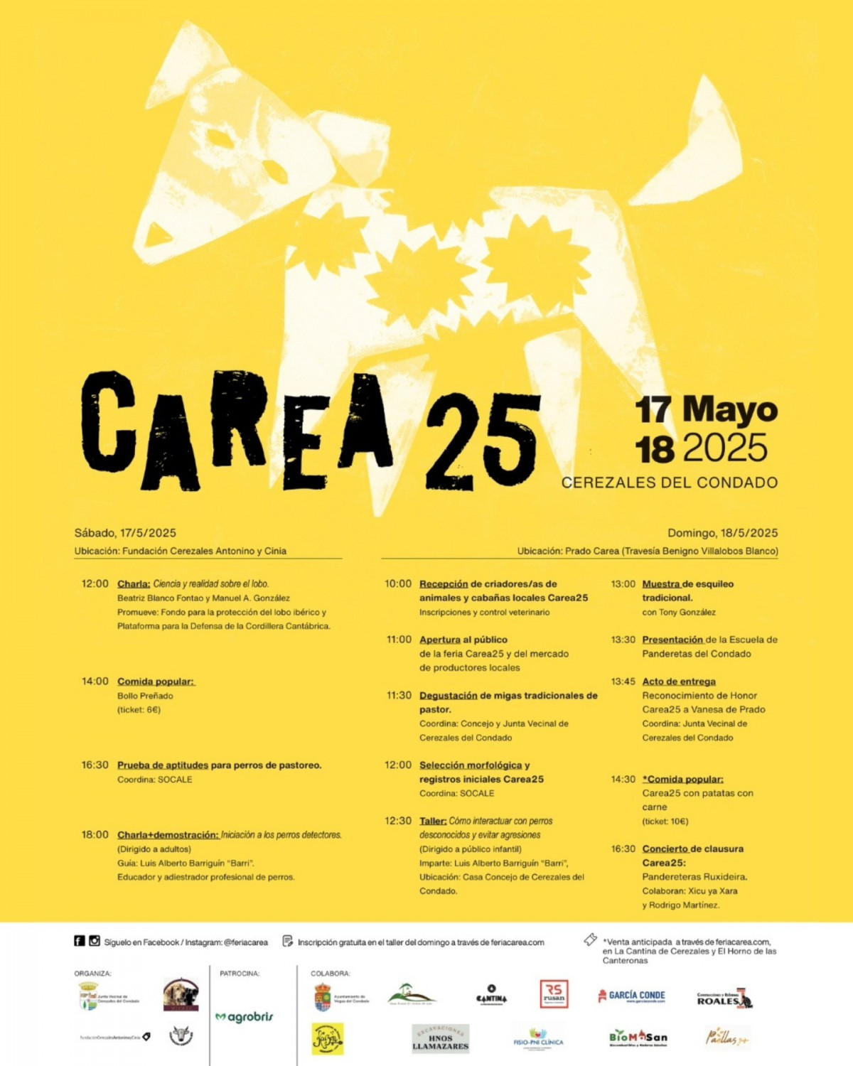 Programa carea 2025